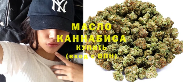 дмт Богданович