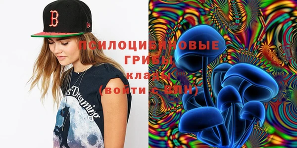 не бодяженный Бородино