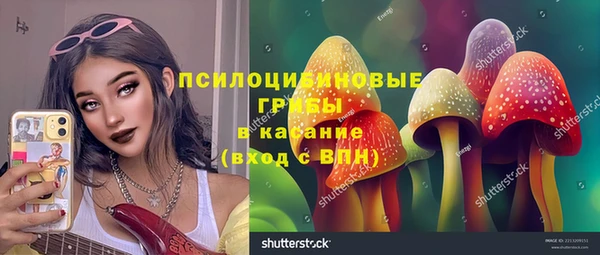 дмт Богданович